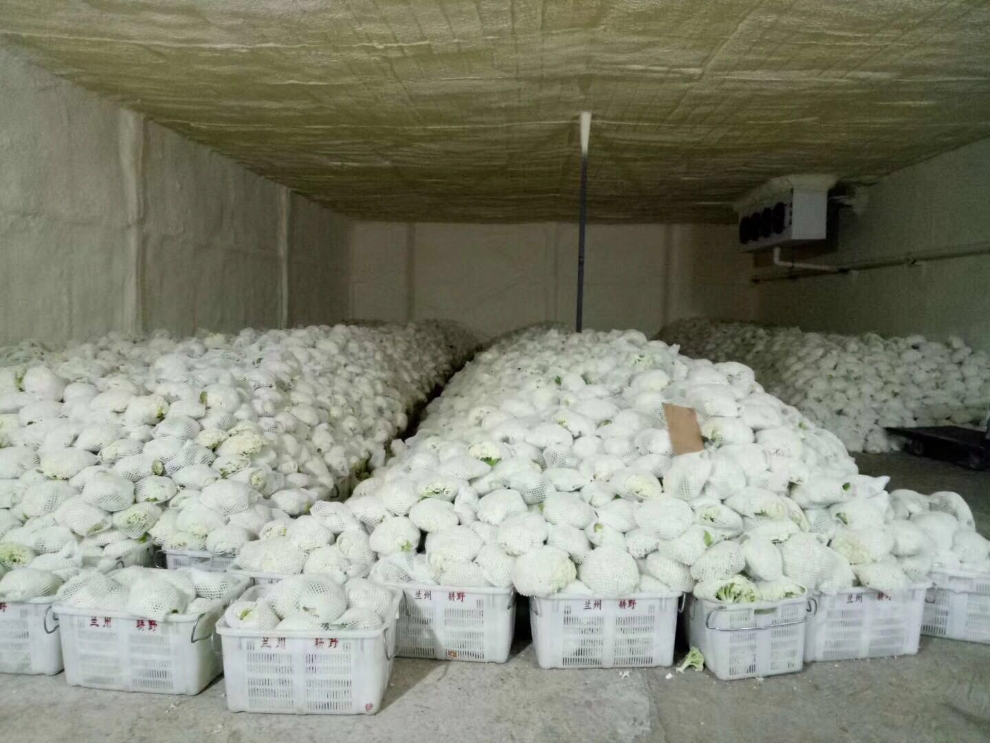 制冷设备行业：技术革新与绿色转型双轮驱动，迈向高质量发展新征程